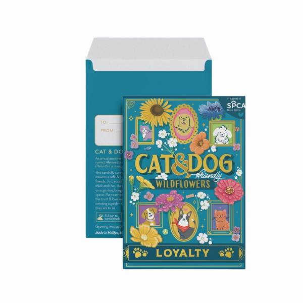 Cat & Dog-friendly Wildflowers Floriography Seed Pack- Loyalty