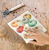 Colourful Pumpkins Dishcloth