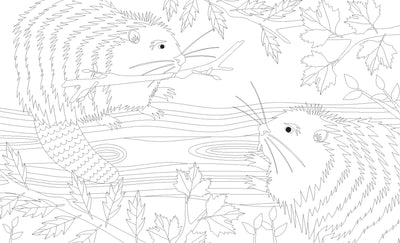 Joy of Mindfulness Coloring