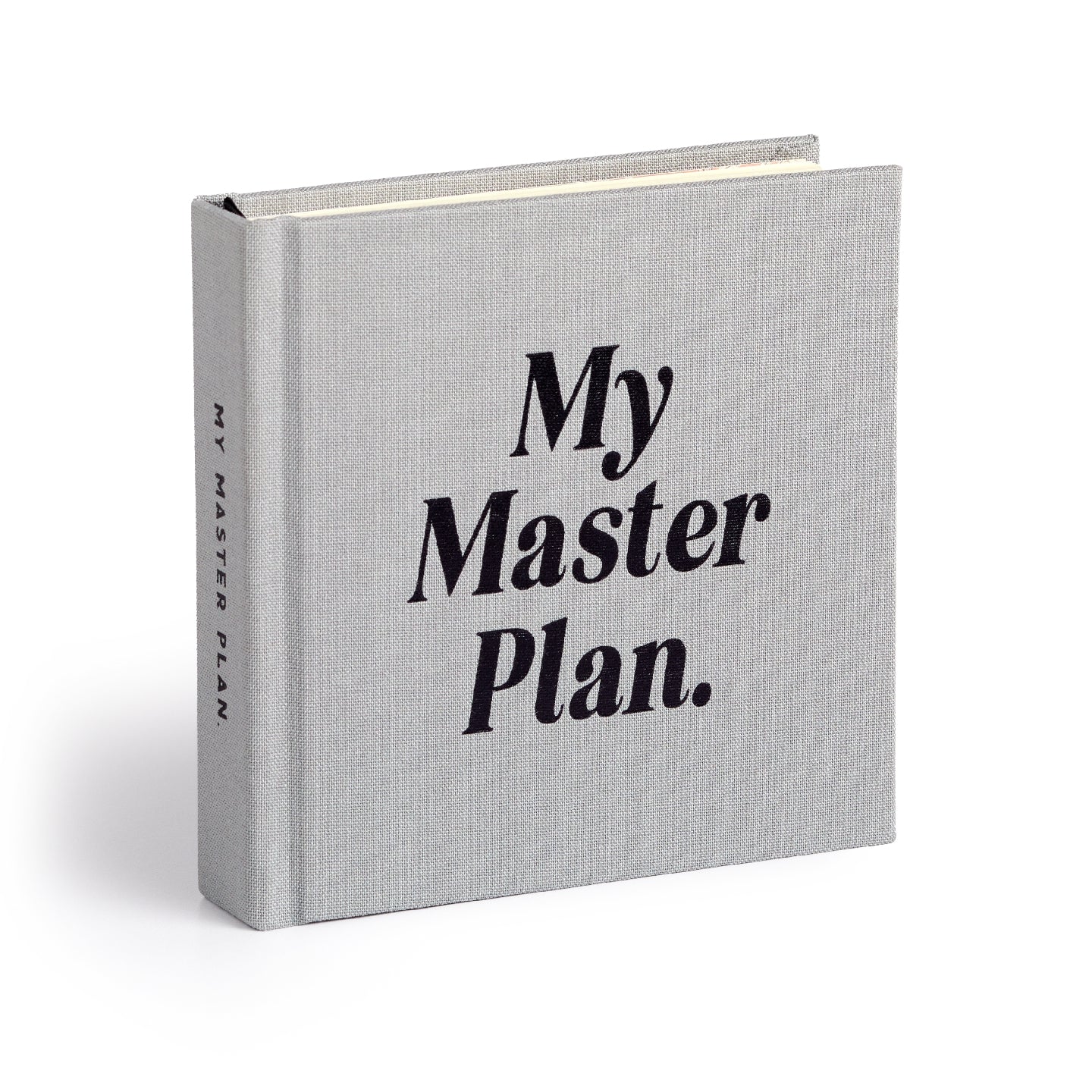My Master Plan Productivity Guide