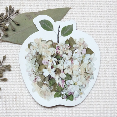 Apple Blossom -  Pressed Flower Art Magnet