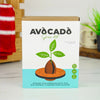 Avocado Grow Kit