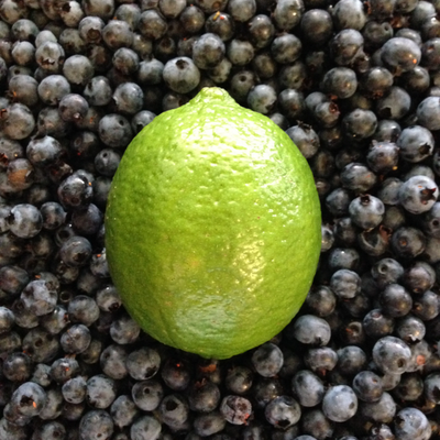 Blue Berry Lime Jam- 250 ml