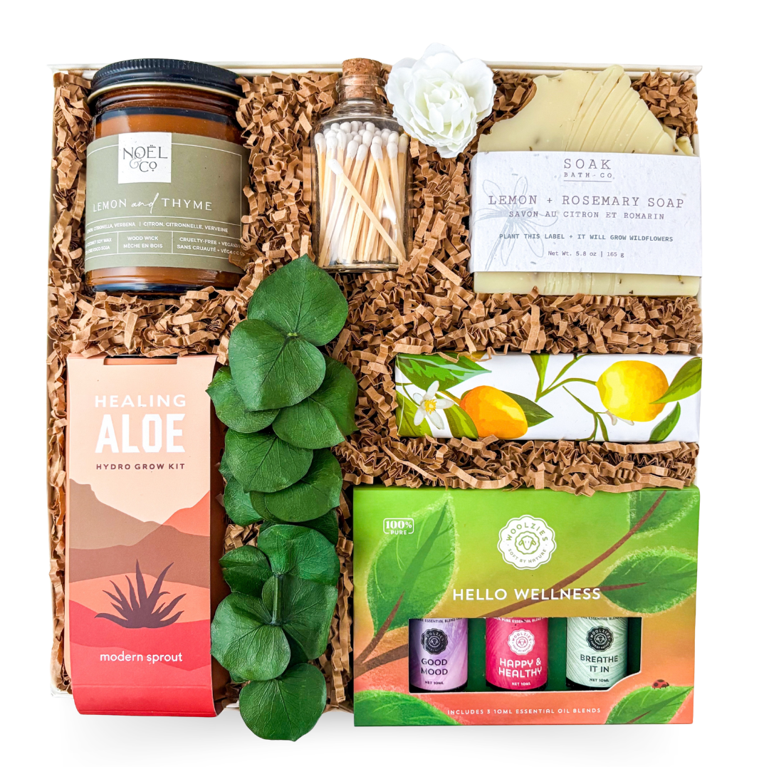 Botanical Wellness Box luxury wellness gift box with botanical self care items and aloe plant by Black Bow Gift Co.
