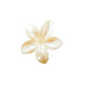 White Lotus Escape