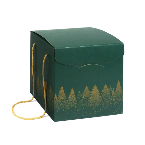 Green Forest Printed Square Box with Rope Handles