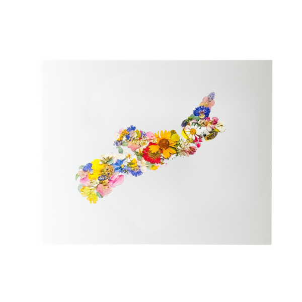 Nova Scotia Map Pressed Flower Art Print with Glass Frame