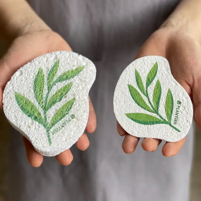 Pop Up Sponge - Eucalyptus