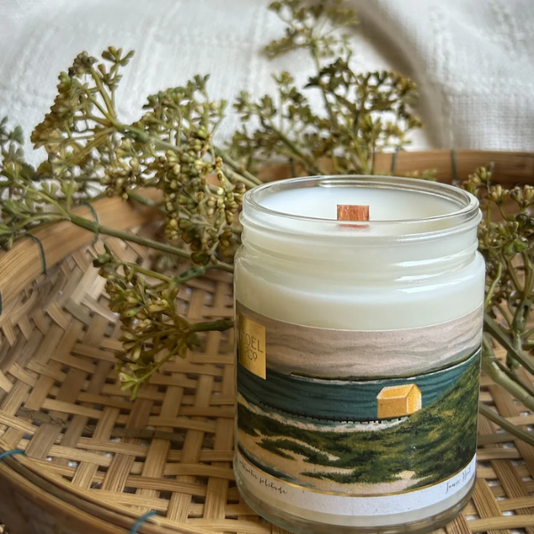 Saltwater Solitude 8oz Candle with a calming coastal-inspired scent of white tea, bergamot, florals, cedar, musk, and honey.