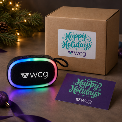 WCG Service Option 3