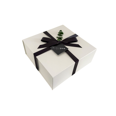 Large White Magnetic Box