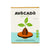 Avocado Grow Kit