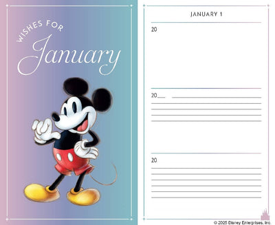 Disney One Wish a Day Journal
