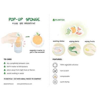 Pop Up Sponge - Eucalyptus