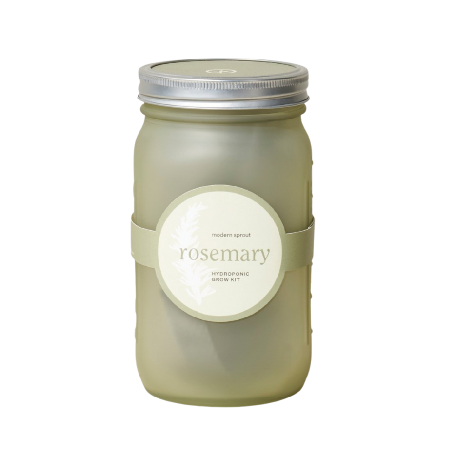 Indoor Rosemary Garden Jar Grow Kit