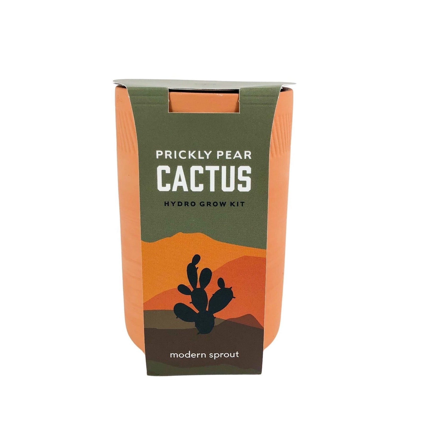 Cactus Kit in Terracotta Planter