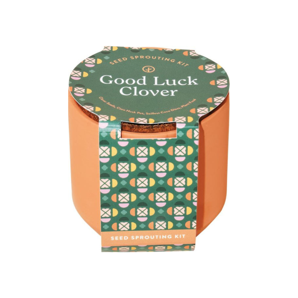 Good Luck Clovers Grow Kit In Terracotta Planter