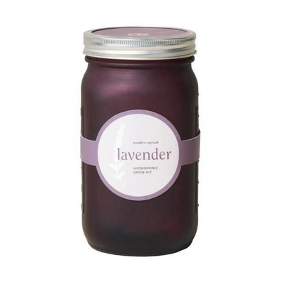 Indoor Lavender Garden Jar Grow Kit