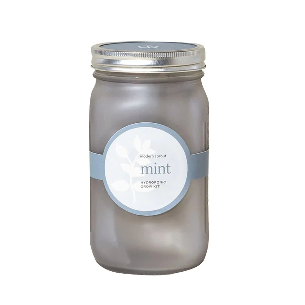 Indoor Mint Garden Jar Grow Kit