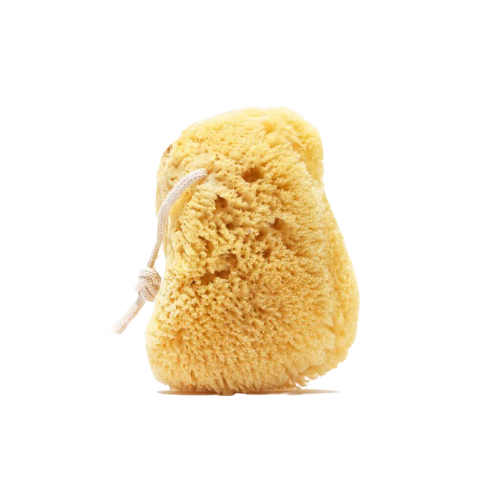 Natural Sea Sponge