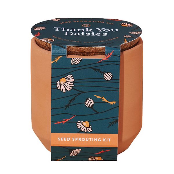 Thank You Daisies Grow Kit In Terracotta Planter