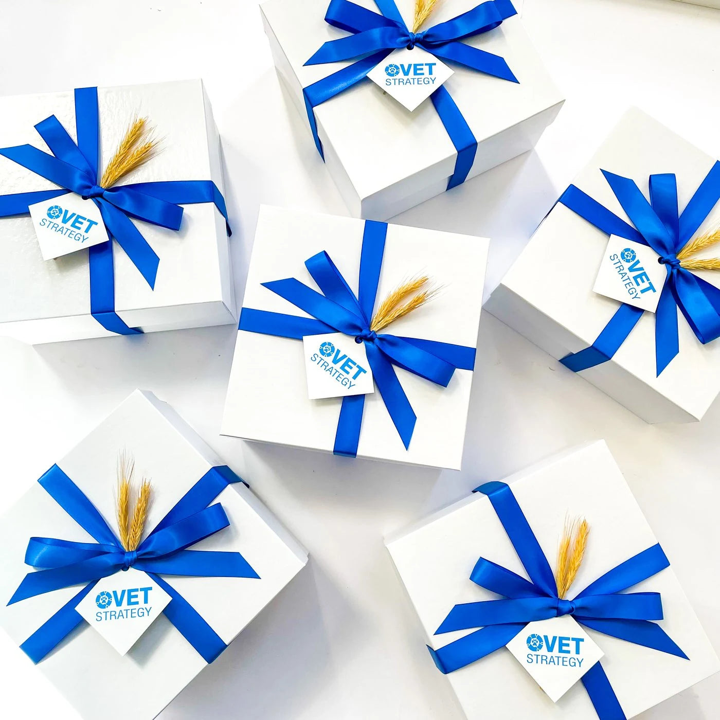 White gift boxes tied with blue ribbon and wheat accents, each with a VET Strategy tag.