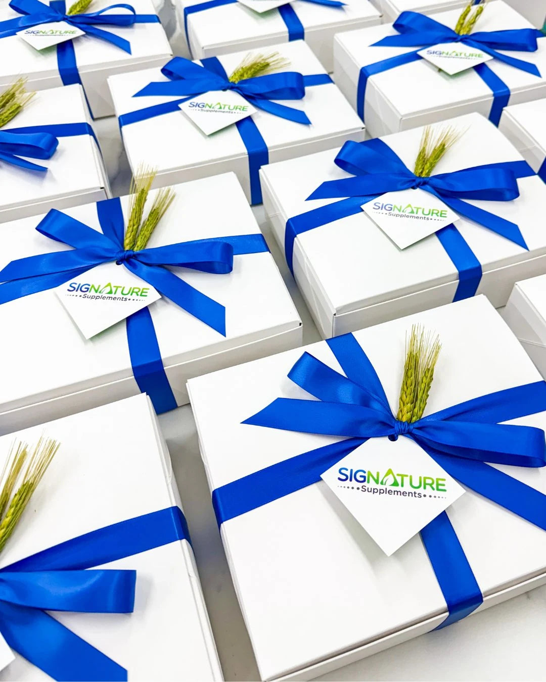 White gift boxes with blue ribbon and Signature Supplements tags.