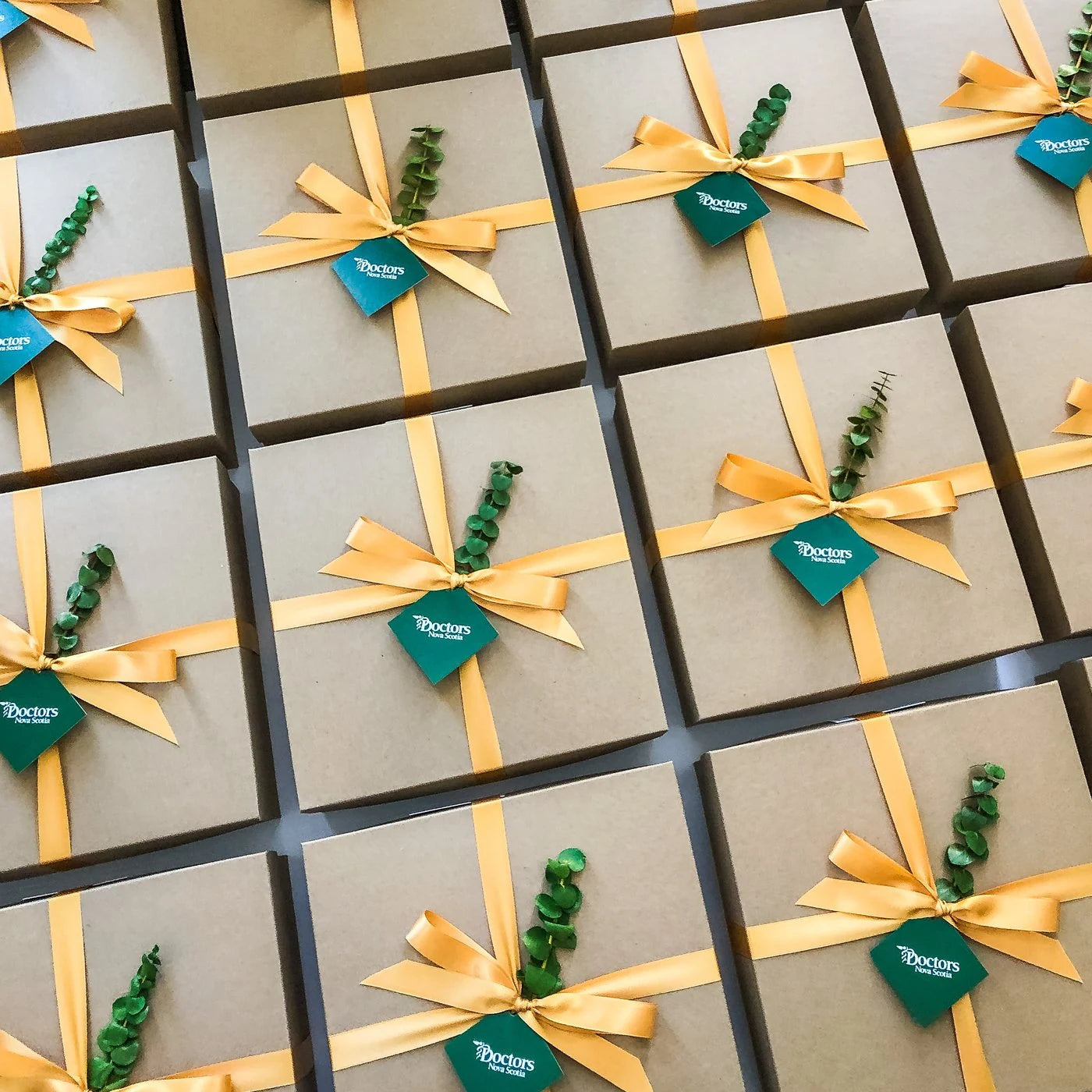 Rows of kraft boxes with gold ribbon and green branded tags.
